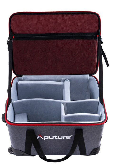 Aputure LS 600D Pro V-Mount