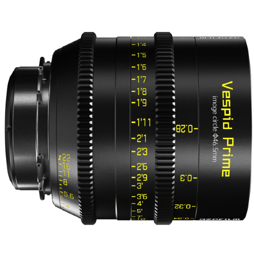 DZOFILM Vespid Prime 21mm T2.1 for PL/EF Mount (VV/FF)