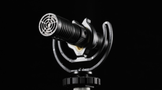 Deity V-Mic D4 Duo (Retournierte Ware)